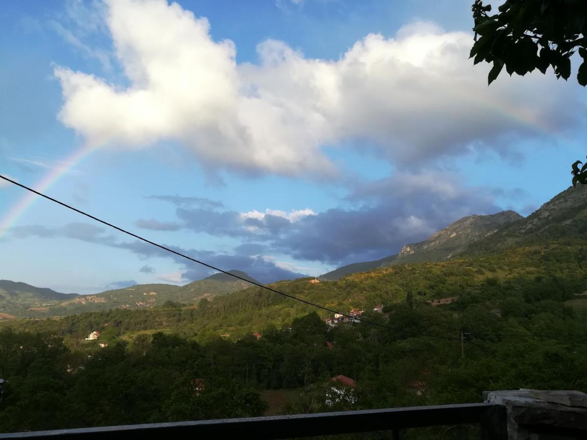Αρχοντικό Πλατανιωτισσα Βίλα Καλάβρυτα Εξωτερικό φωτογραφία